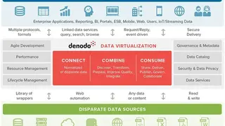 Denodo Platform screenshot