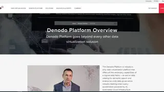 Denodo Platform screenshot