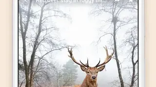 Depositphotos screenshot