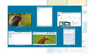 Dexpot screenshot
