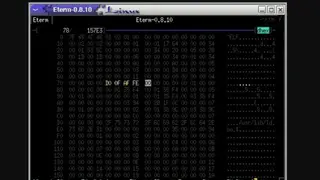 DHEX screenshot