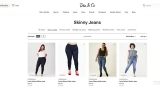 Dia & Co screenshot