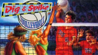 Dig and Spike Volleyball screenshot