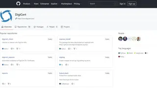 DigiCert Secure Site screenshot