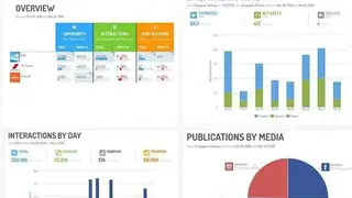 Digimind Social screenshot