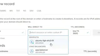 Digitalocean DNS Lookup screenshot