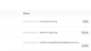 Digitalocean DNS Lookup screenshot