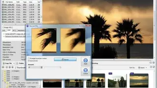 DIMIN Viewer screenshot