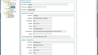Diplomat Managed File Transfer screenshot