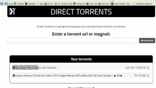 Direct Torrents screenshot