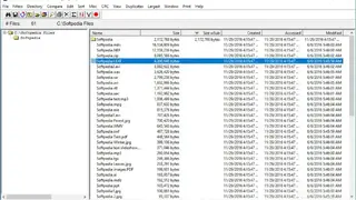 Directory Report screenshot