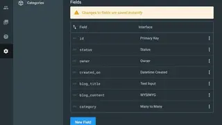 Directus screenshot