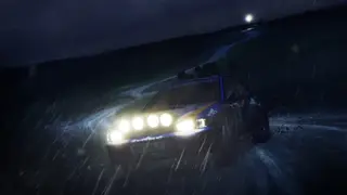 DiRT Rally screenshot