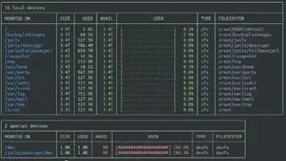 Disk Usage Free Utility (DUF) screenshot