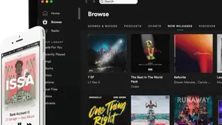 DistroKid screenshot