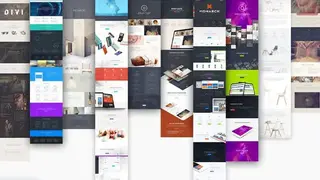 Divi Theme screenshot