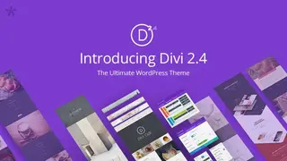 Divi Theme screenshot