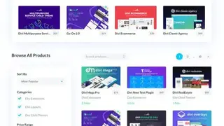 Divi Theme screenshot