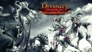 Divinity: Original Sin Enhanced Edition screenshot