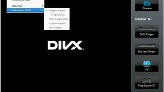 Divx 10 screenshot