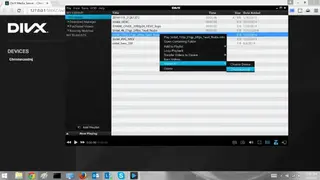 DivX screenshot
