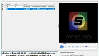 DivXLand Media Subtitler screenshot