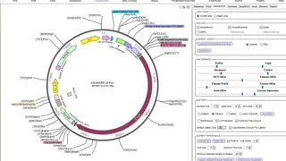 DNADynamo screenshot
