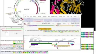DNADynamo screenshot