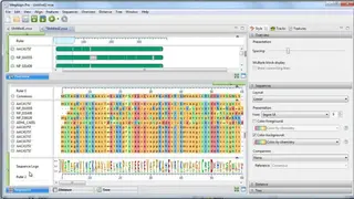 DNASTAR Lasergene screenshot