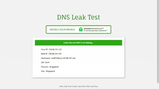 DNS leak test screenshot