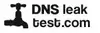DNS leak test