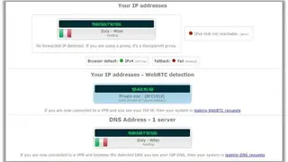 DNS Leak Test – PureVPN screenshot