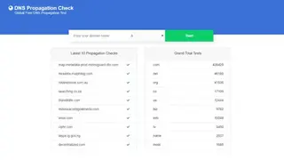 DNS Propagation Check screenshot