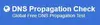 DNS Propagation Check