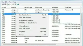 DNSDataView screenshot