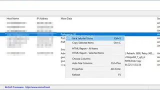 DNSDataView screenshot