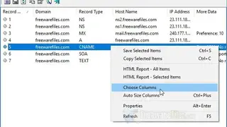 DNSDataView screenshot