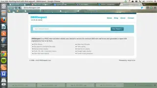 DNSInspect screenshot