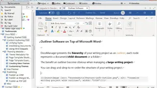 DocxManager screenshot