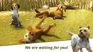Dog Hotel screenshot
