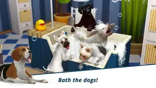 Dog Hotel screenshot