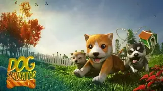 Dog Simulator screenshot