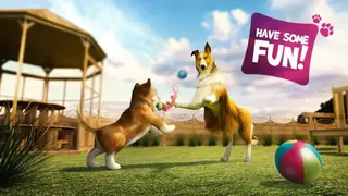 Dog Simulator screenshot