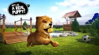 Dog Simulator screenshot