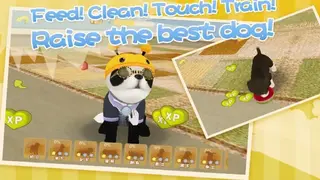 Dog Sweetie screenshot