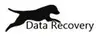 DogData Recovery