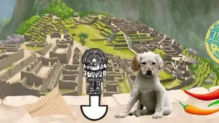 Dogzer screenshot