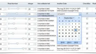 Dojo Toolkit screenshot