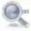 Domain Details