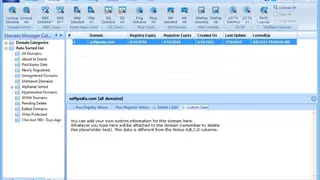 Domain Punch screenshot